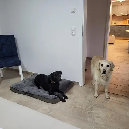 Lanckensburg - 2 Apartamento *